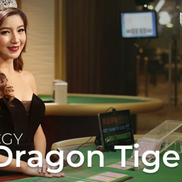 CGY Dragon Tiger N20