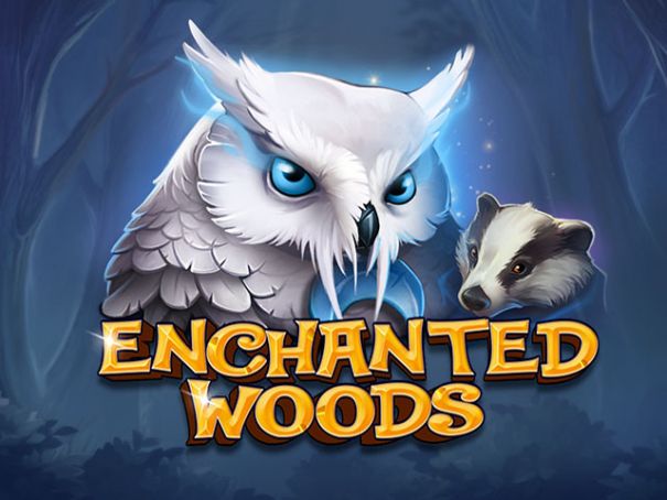 Enchanted Woods