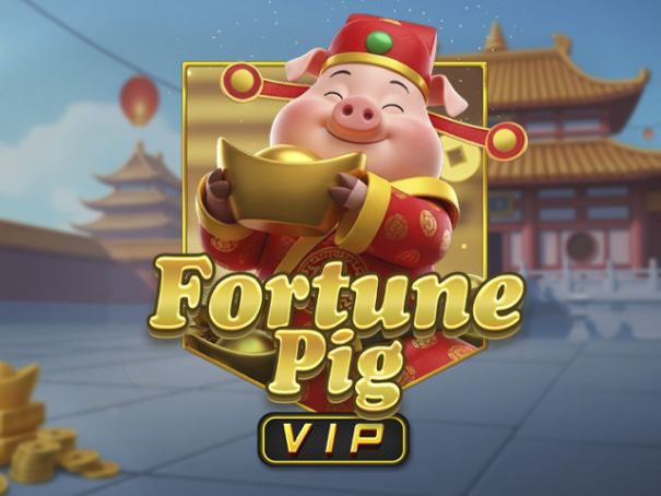 Fortune Pig VIP