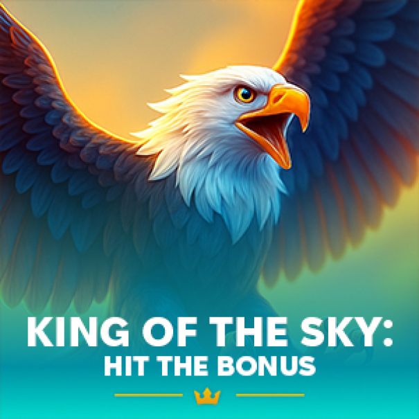 King of the Sky: Hit the Bonus™
