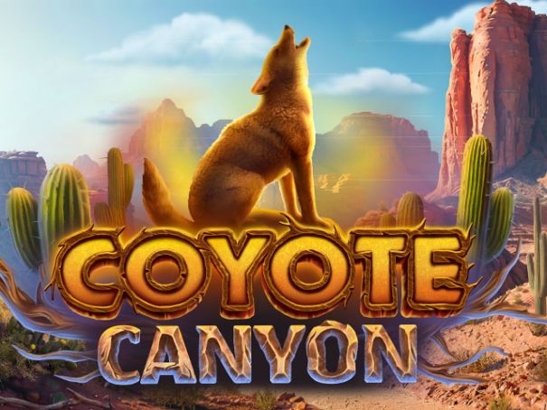 Coyote Canyon