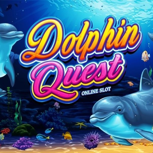 Dolphin Quest