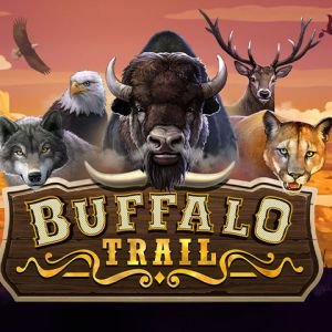 Buffalo Trail Dice