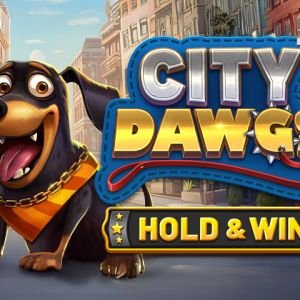 City Dawgs - Hold & Win