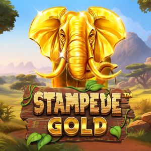 Stampede Gold