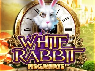 White Rabbit