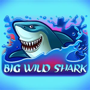 Big Wild Shark