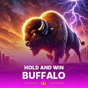 Buffalo Hold and Win