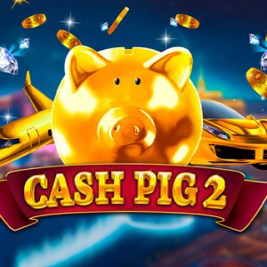 Cash Pig 2