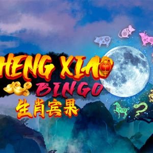 Sheng Xiao Bingo