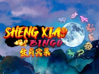 Sheng Xiao Bingo