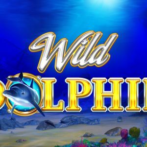 Wild Dolphin