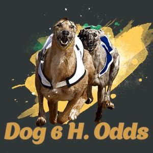 Dog 6 H. Odds