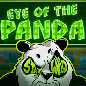 Eye of the Panda