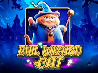 Evil Wizard Cat