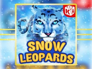 Snow Leopards