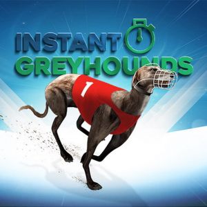 Instant Greyhounds
