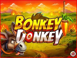 Bonkey Donkey
