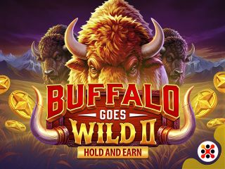 Buffalo Goes Wild II