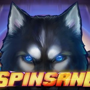 Spinsane