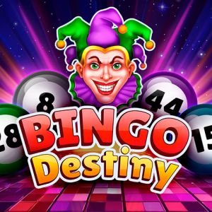 Bingo Destiny