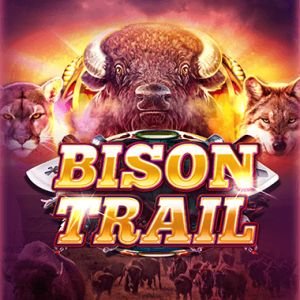 Bison Trail