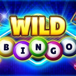 Wild Bingo