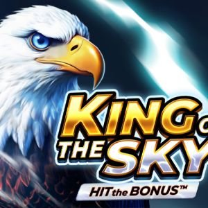 King of the Sky: Hit the Bonus™