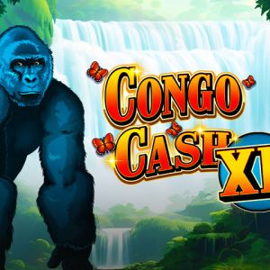 Congo Cash XL