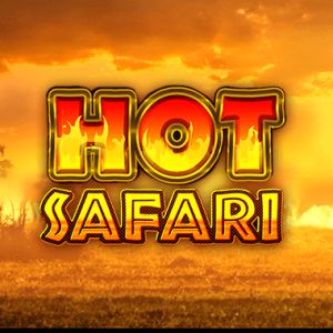 Hot Safari 50 000