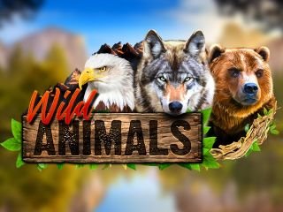 Wild Animals