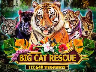 Big Cat Rescue Megaways