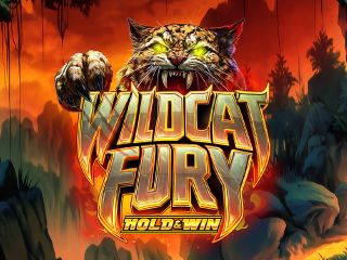 Wildcat Fury - Hold & Win
