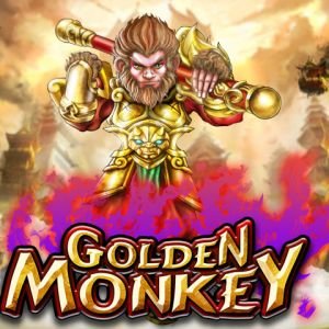 Golden Monkey