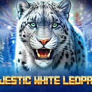 Majestic White Leopard