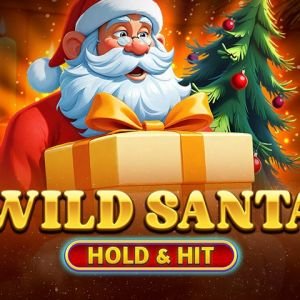 Wild Santa - Hold & Hit