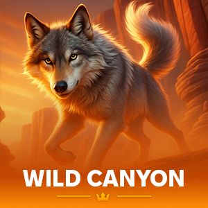 Wild Canyon