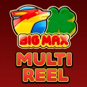 Big Max Multi Reel