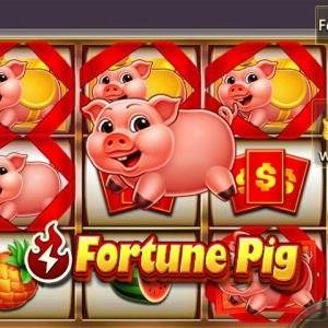 Fortune Pig