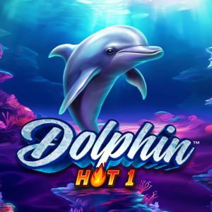 Dolphin Hot 1